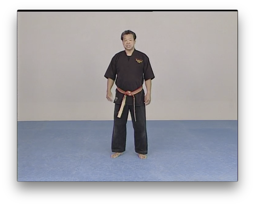 Kara-Ho Kempo Karate by Sam Kuoha (On Demand) - Budovideos Inc