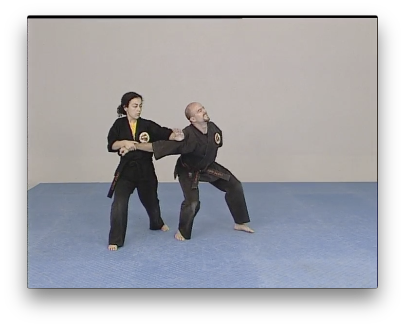 Kara-Ho Kempo Karate by Sam Kuoha (On Demand) - Budovideos Inc