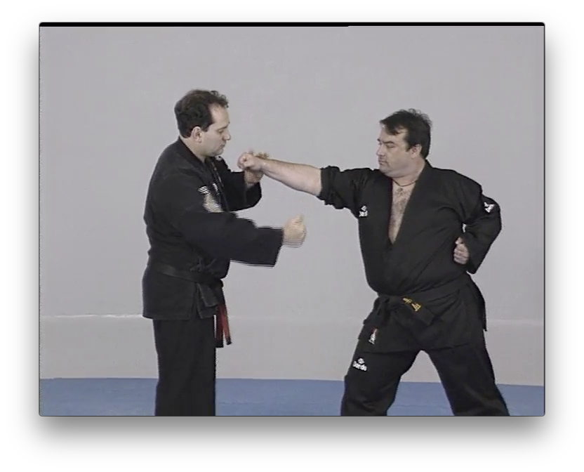 American Kenpo Karate by Juan Jose Negreira (On Demand) - Budovideos Inc