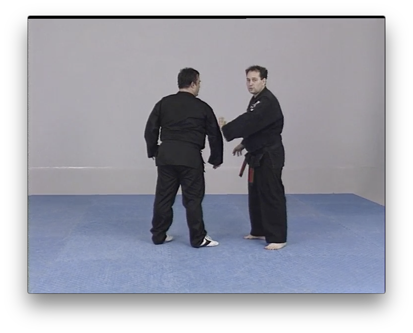 American Kenpo Karate by Juan Jose Negreira (On Demand) - Budovideos Inc