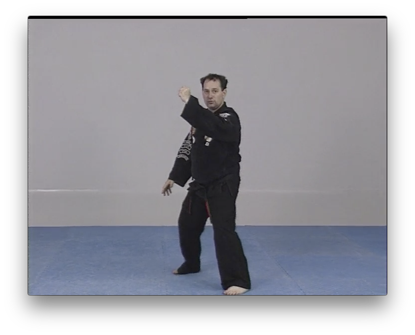 American Kenpo Karate by Juan Jose Negreira (On Demand) - Budovideos Inc