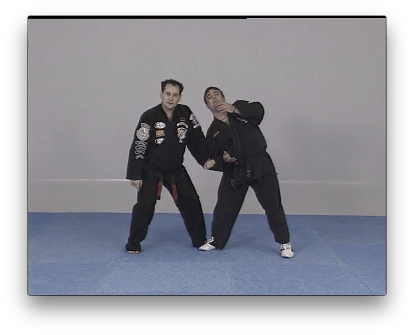 American Kenpo Karate by Juan Jose Negreira (On Demand) - Budovideos Inc