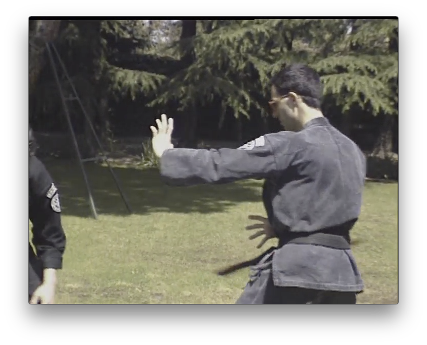 Ed Parker's Kenpo Karate by Jose Gutierrez (On Demand) - Budovideos Inc