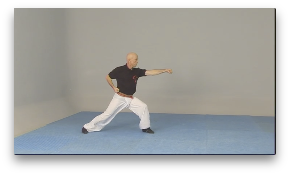 Kajukenbo WHKD Forms and Techniques by Al Dacascos (On Demand) - Budovideos Inc