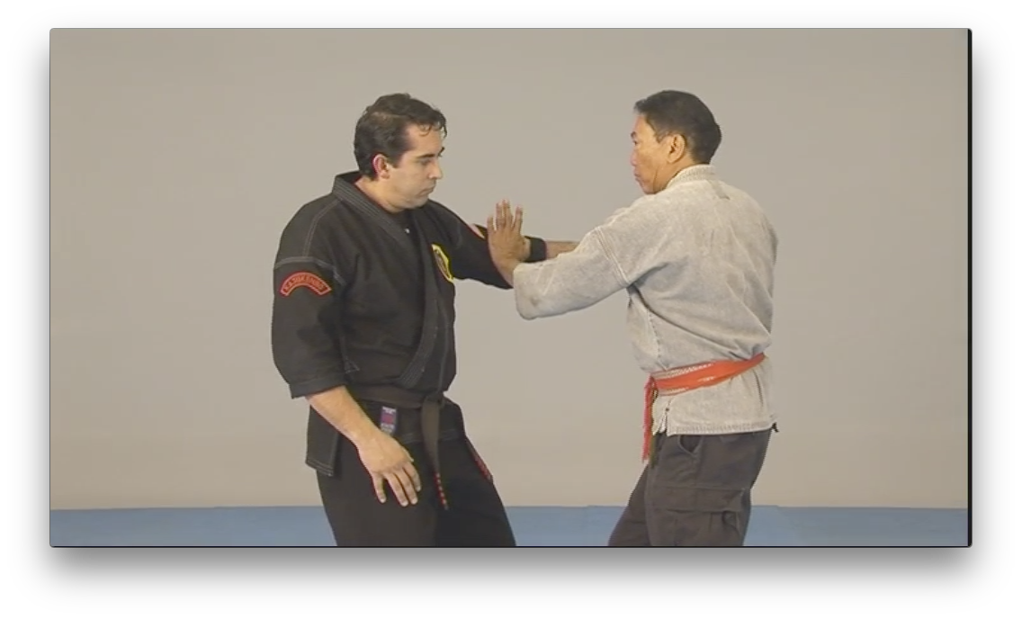 Kajukenbo WHKD Forms and Techniques by Al Dacascos (On Demand) - Budovideos Inc
