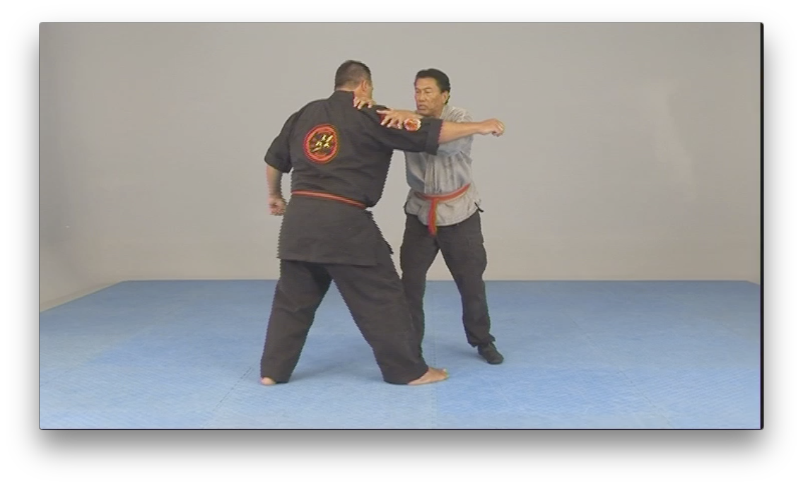 Kajukenbo Wun Hop Kuen Do by Al Dacascos (On Demand) - Budovideos Inc