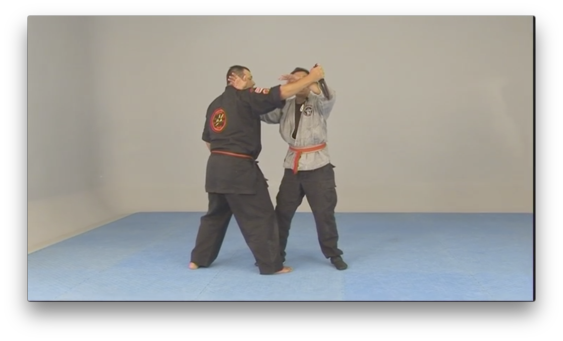 Kajukenbo Wun Hop Kuen Do by Al Dacascos (On Demand) - Budovideos Inc