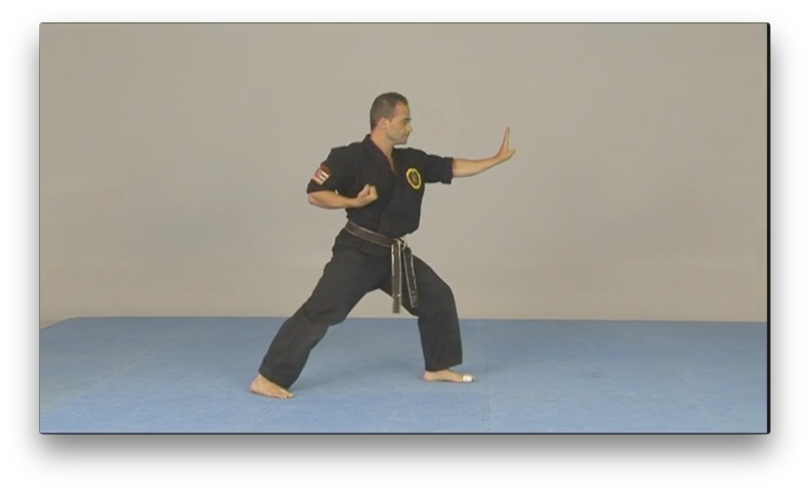 Kajukenbo Dirty Fighting by Robert New (On Demand) - Budovideos Inc