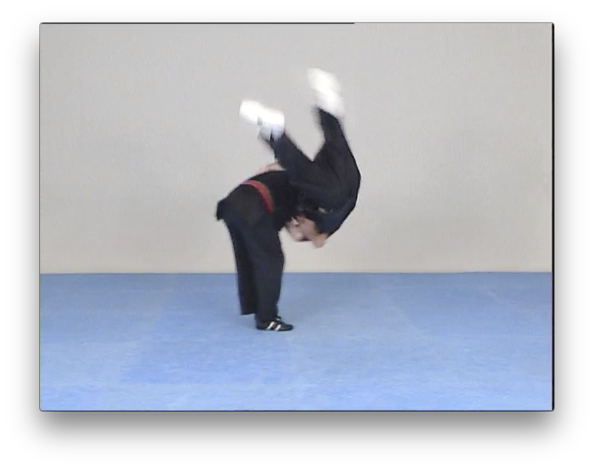 Kajukenbo Evolution by Angel Garcia (On Demand) - Budovideos Inc