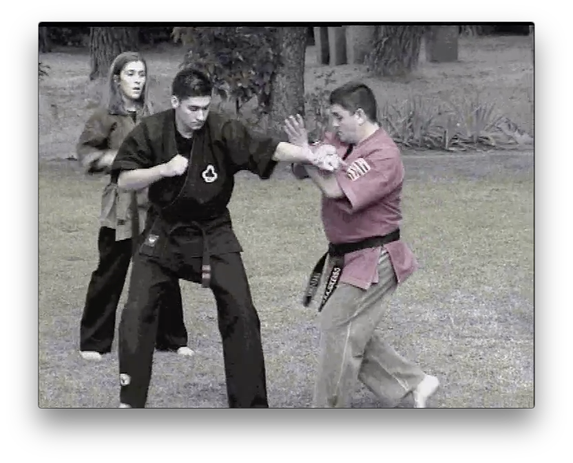 Kajukenbo Vol 3 by Angel Garcia (On Demand) - Budovideos Inc
