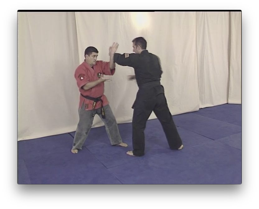 Kajukenbo Vol 3 by Angel Garcia (On Demand) - Budovideos Inc