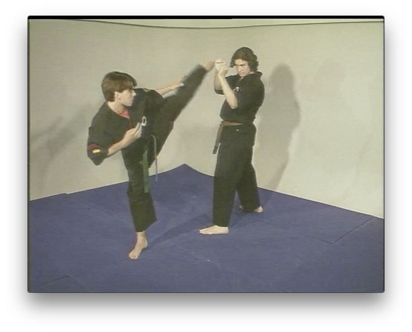 Kajukenbo Vol 2 The Training Method by Angel Garcia (On Demand) - Budovideos Inc