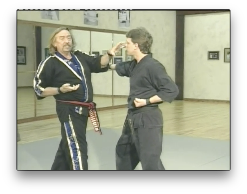 The Tai Karate Way by David German (On Demand) - Budovideos Inc