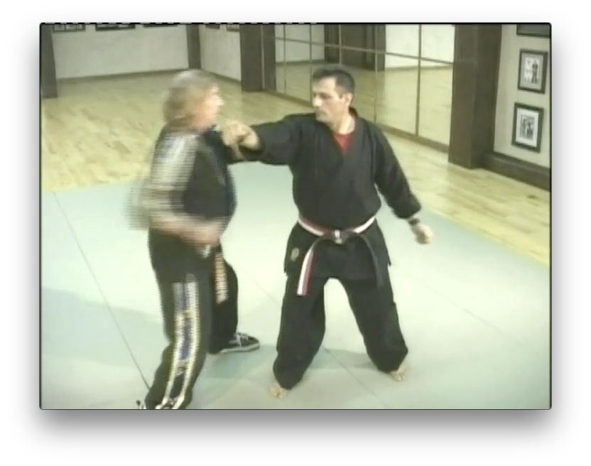 The Tai Karate Way by David German (On Demand) - Budovideos Inc