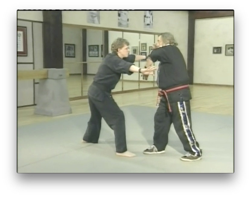 The Tai Karate Way by David German (On Demand) - Budovideos Inc