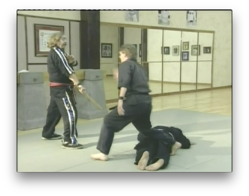 The Tai Karate Way by David German (On Demand) - Budovideos Inc