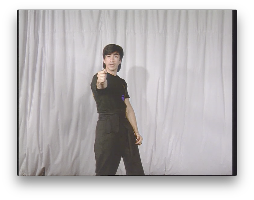 Wing Chun Kung Fu Concepts and priciples by Randy Williams (On Demand) - Budovideos Inc