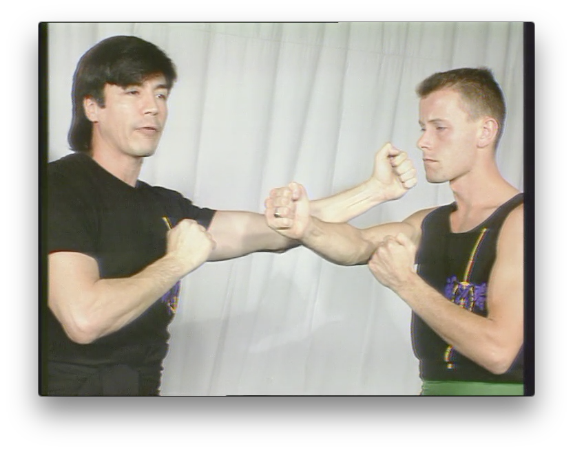 Wing Chun Kung Fu Concepts and priciples by Randy Williams (On Demand) - Budovideos Inc