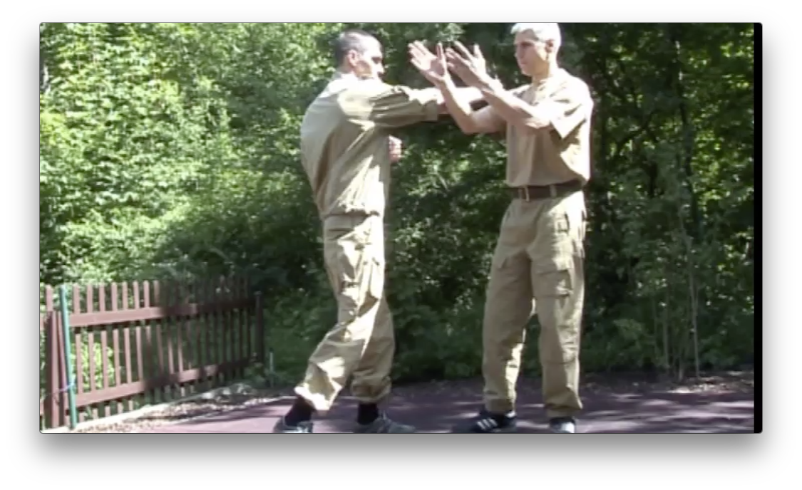 Russian Martial Art Systema SV Training Program Vol 1 by Dmitri Skogorev (On Demand) - Budovideos Inc