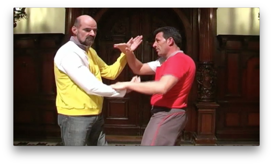 Wing Tsun The Myth of the Wooden Dummy by Keith Kernspecht (On Demand) - Budovideos Inc