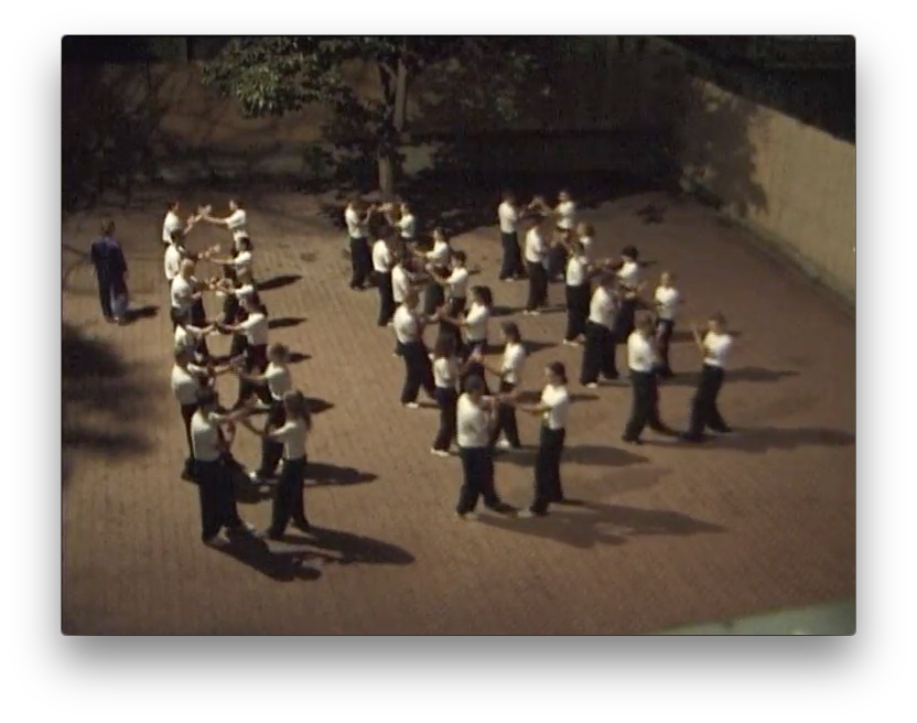 Traditional Wing Chun Vol 1 by Paolo Cangelosi (On Demand) - Budovideos Inc