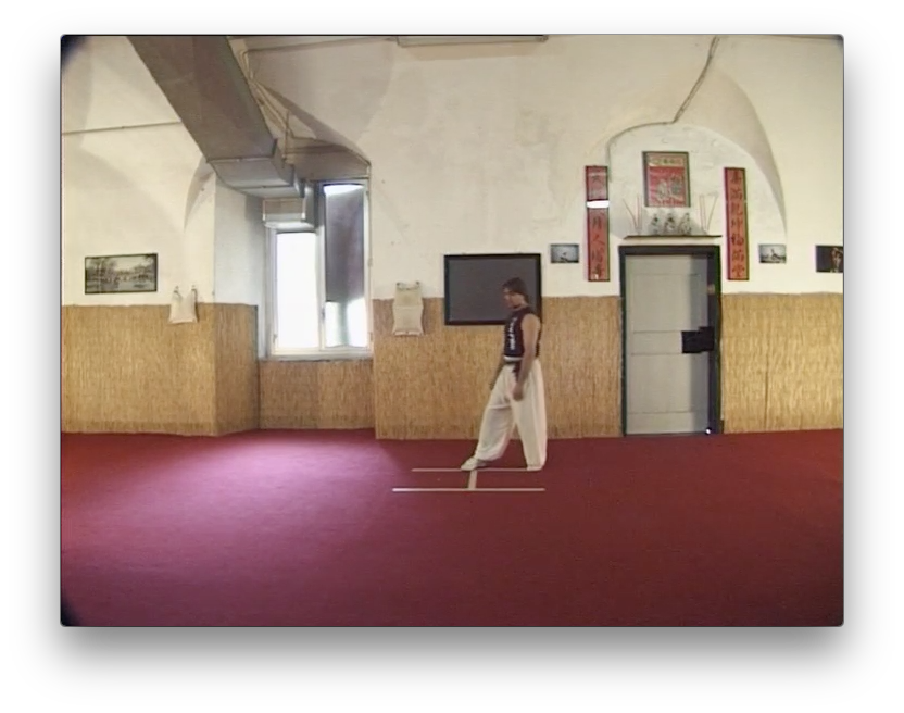 Traditional Wing Chun Vol 1 by Paolo Cangelosi (On Demand) - Budovideos Inc