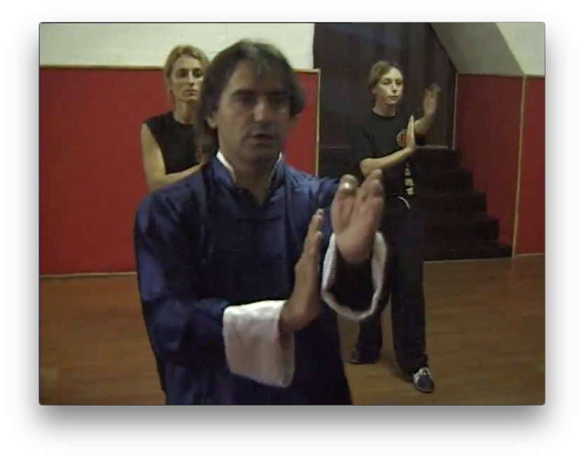 Traditional Wing Chun Vol 2 by Paolo Cangelosi (On Demand) - Budovideos Inc