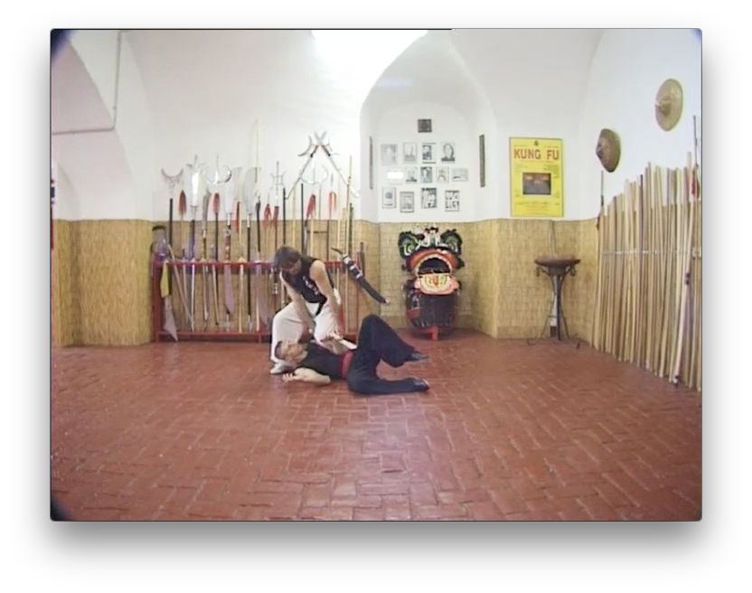 Traditional Wing Chun Vol 2 by Paolo Cangelosi (On Demand) - Budovideos Inc