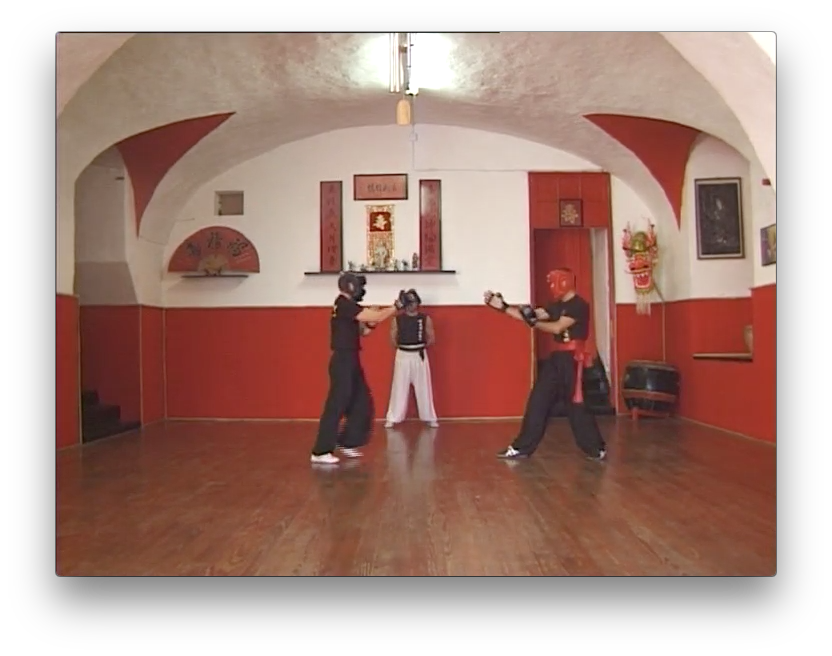 Traditional Wing Chun Vol 2 by Paolo Cangelosi (On Demand) - Budovideos Inc