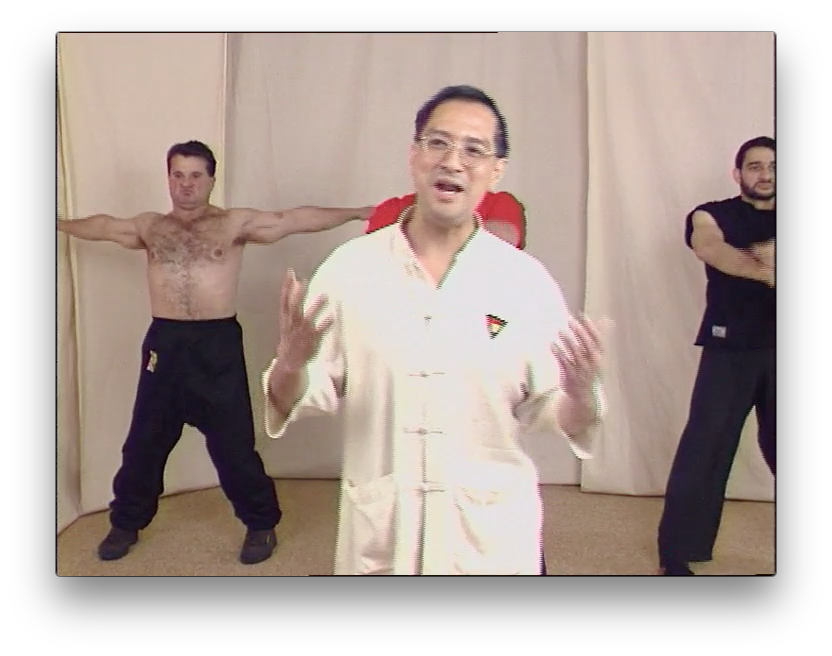 Wing Tsun Right or Wrong? by Leung Ting (On Demand) - Budovideos Inc