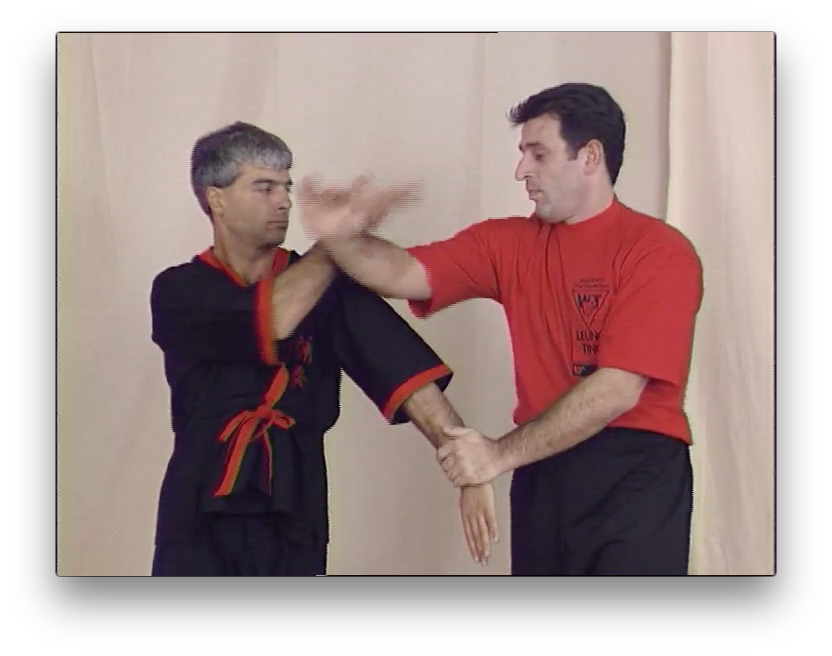 Wing Tsun Right or Wrong? by Leung Ting (On Demand) - Budovideos Inc