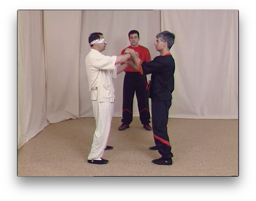 Wing Tsun Right or Wrong? by Leung Ting (On Demand) - Budovideos Inc