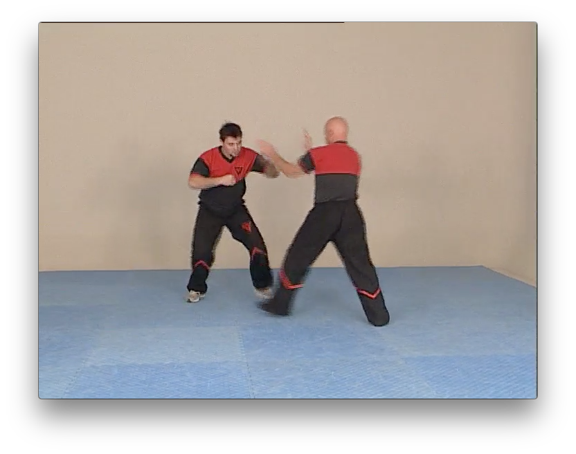 Wing Tsun Combat Program by Victor Gutierrez (On Demand) - Budovideos Inc