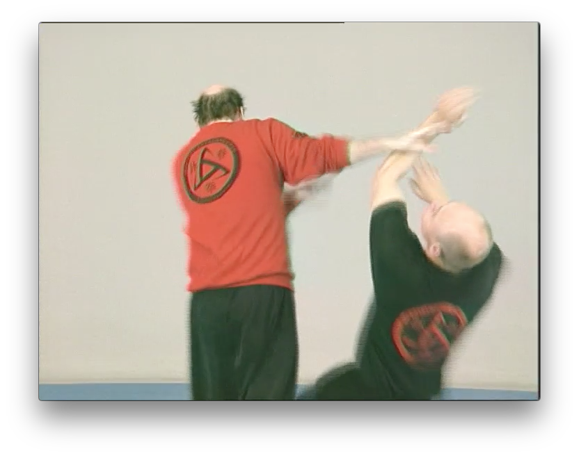Wing Tsun Alliance and Escrima by Wing Tsun Alliance (On Demand) - Budovideos Inc