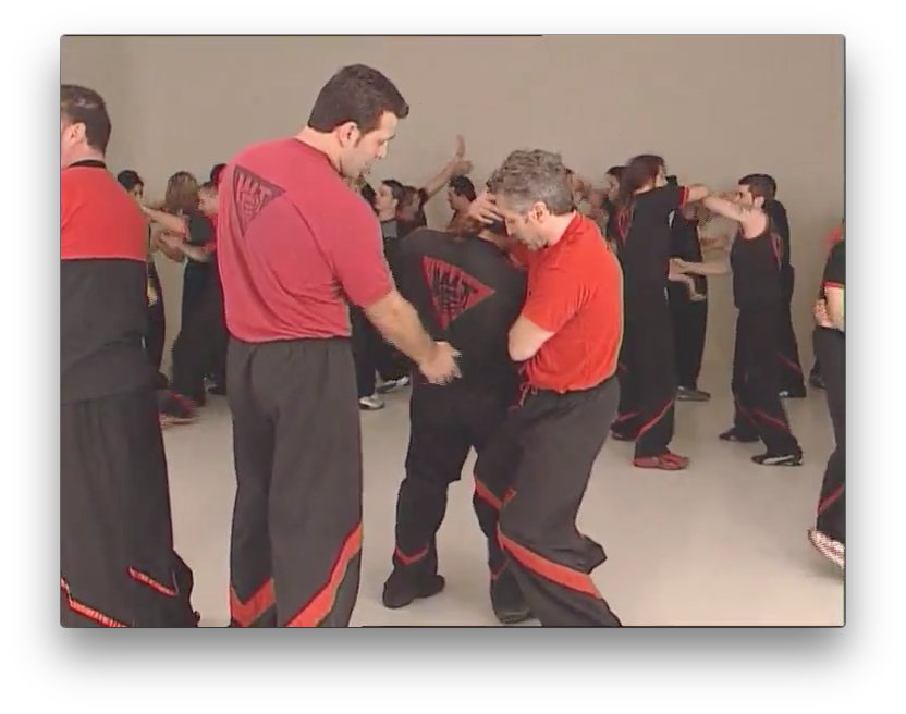Wing Tsun Re-Evolution 2 by Victor Gutierrez (On Demand) - Budovideos Inc