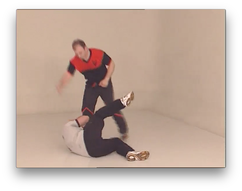 Wing Tsun Re-Evolution 2 by Victor Gutierrez (On Demand) - Budovideos Inc