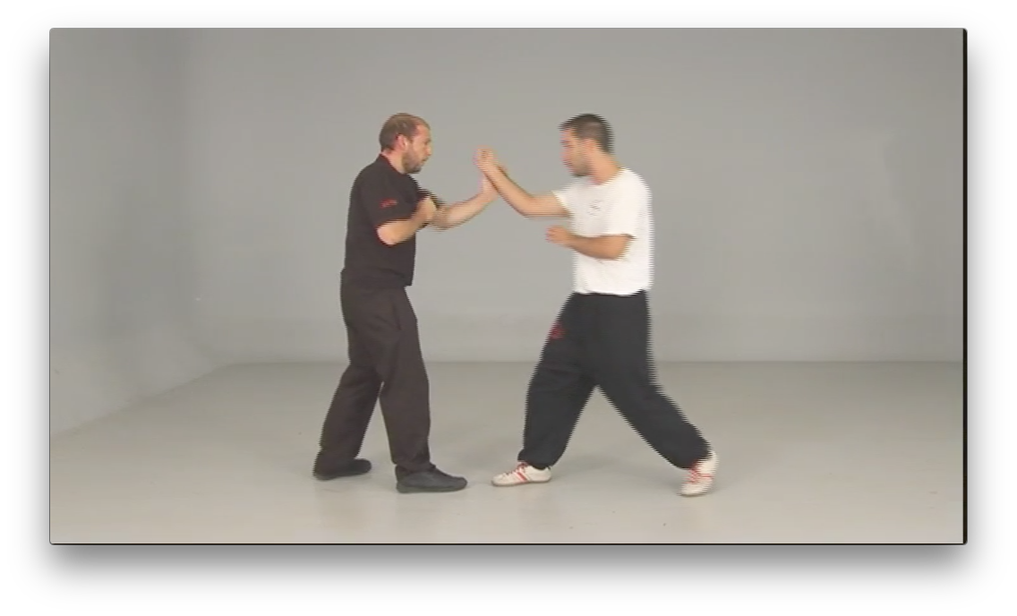 Wing Tsun Taows Academy by Salvador Sanchez (On Demand) - Budovideos Inc