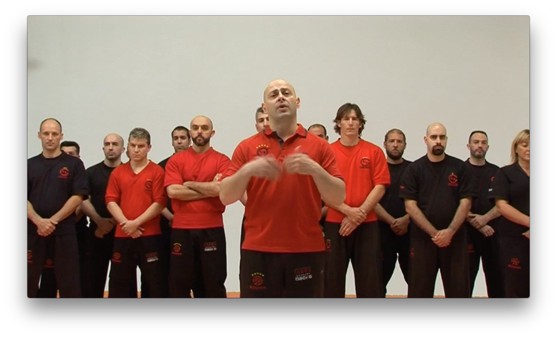 Wing Tsun Advanced TAOWS Academy by Salvador Sanchez (On Demand) - Budovideos Inc