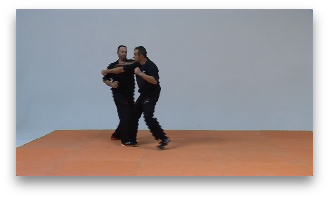 Wing Tsun Advanced TAOWS Academy by Salvador Sanchez (On Demand) - Budovideos Inc
