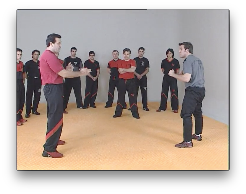 Wing Tsun Re-Evolution by Victor Gutierrez (On Demand) - Budovideos Inc