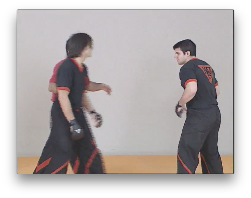 Wing Tsun Re-Evolution by Victor Gutierrez (On Demand) - Budovideos Inc