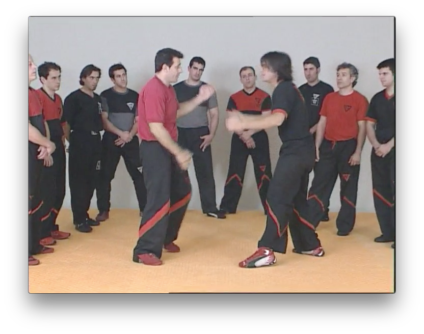 Wing Tsun Re-Evolution by Victor Gutierrez (On Demand) - Budovideos Inc