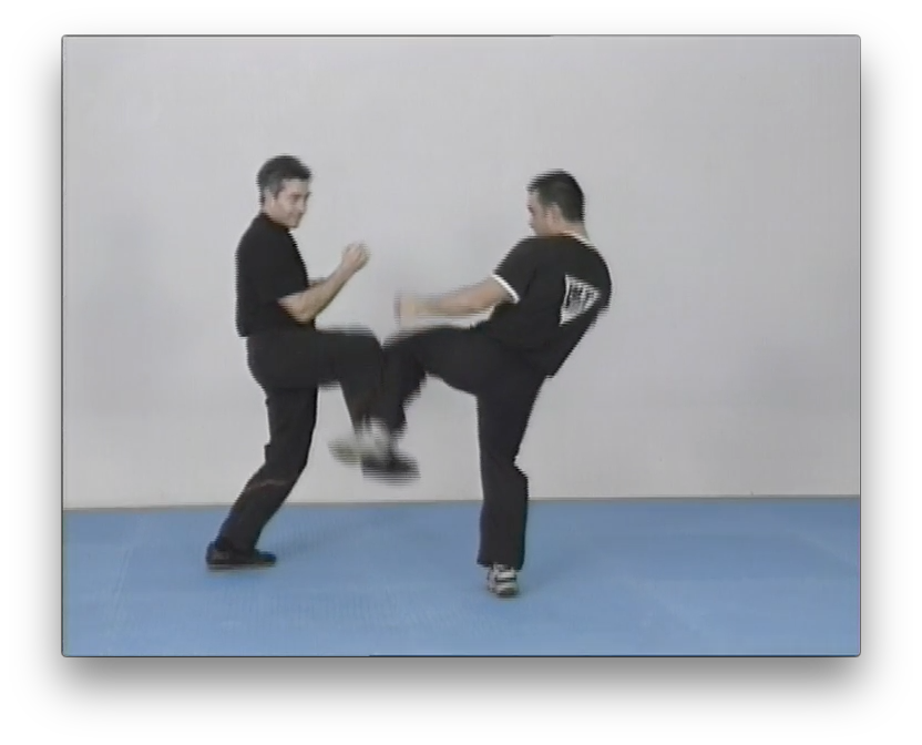 Wing Tsun Chi Sao Vol2 by Victor Gutierrez (On Demand) - Budovideos Inc