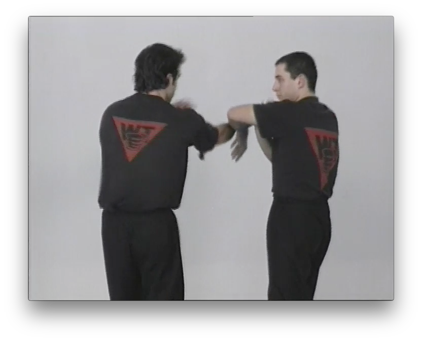 Wing Tsun Chi Sao Vol2 by Victor Gutierrez (On Demand) - Budovideos Inc