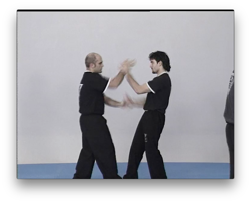 Wing Tsun Chi Sao Vol1 by Victor Gutierrez (On Demand) - Budovideos Inc