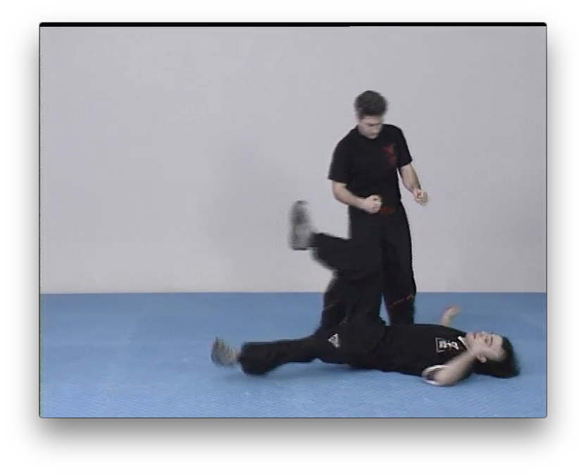 Wing Tsun Chi Sao Vol1 by Victor Gutierrez (On Demand) - Budovideos Inc