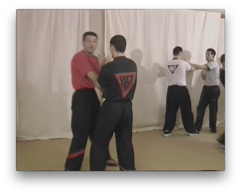Wing Tsun Lat Sao by Victor Gutierrez (On Demand) - Budovideos Inc