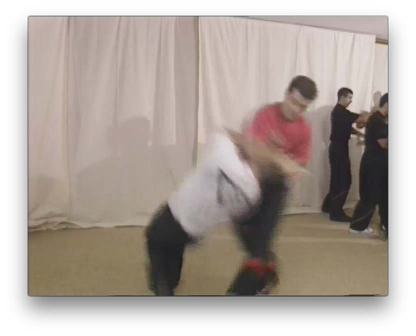 Wing Tsun Lat Sao by Victor Gutierrez (On Demand) - Budovideos Inc