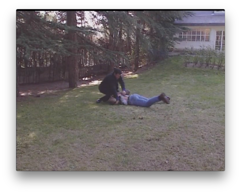 Wing Tsun Street Shock Vol 2 by Victor Gutierrez (On Demand) - Budovideos Inc