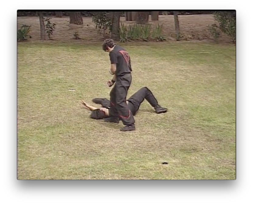 Wing Tsun Anti-grappling by Victor Gutierrez (On Demand) - Budovideos Inc